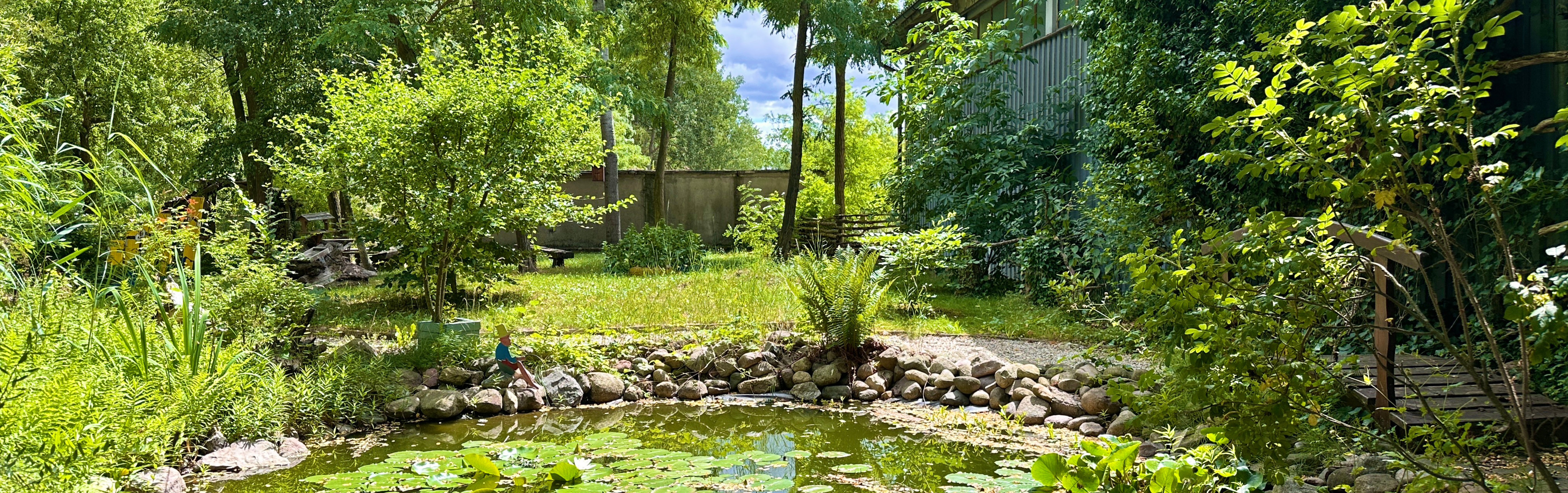 Naturnaher Garten mit Teich, Seerosen und vielfältiger Bepflanzung. Der Teich ist von Steinen eingefasst und von Bäumen, Sträuchern sowie Rasenflächen umgeben. Ein kleiner Holzsteg führt durch den begrünten Außenbereich, der bei sonnigem Wetter aufgenommen wurde.