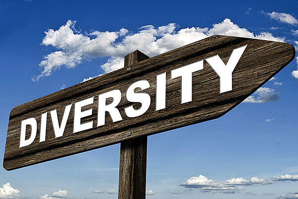 in hölzernes Wegweiser‑Schild zeigt nach rechts und trägt in großen weißen Buchstaben das Wort „Diversity“. Dahinter ein blauer Himmel mit einigen weißen Wolken.